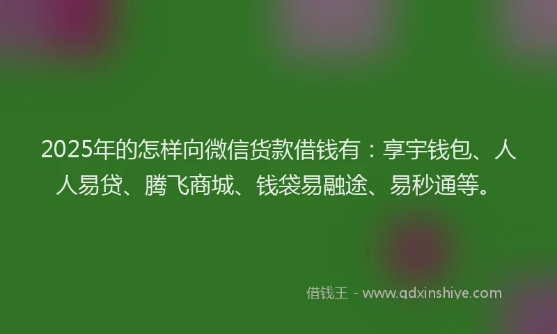 2025年的怎样向微信货款借钱有：享宇钱包、人人易贷、腾飞商城、钱袋易融途、易秒通等。