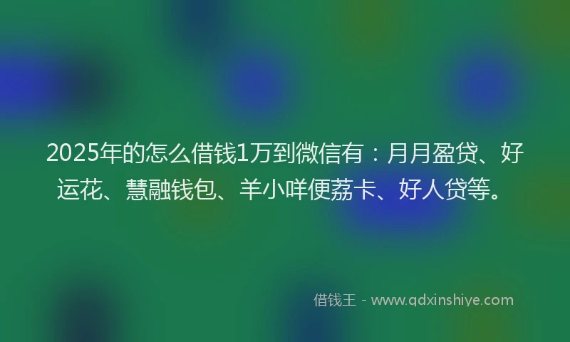 2025年的怎么借钱1万到微信有：月月盈贷、好运花、慧融钱包、羊小咩便荔卡、好人贷等。