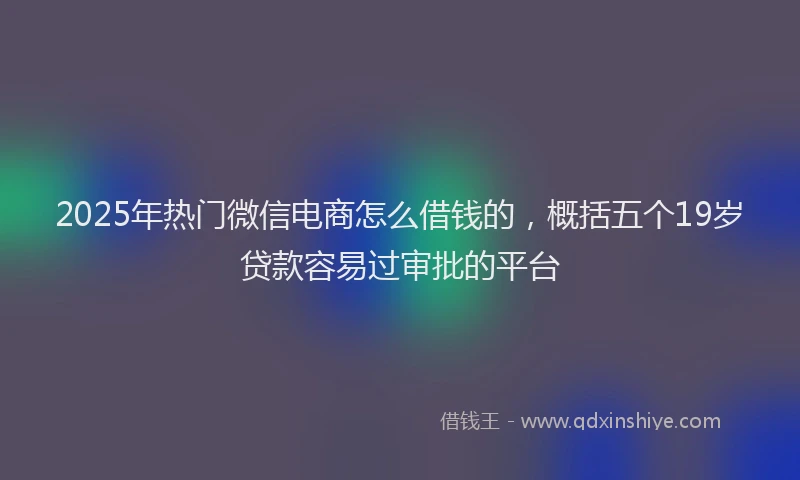 2025年热门微信电商怎么借钱的,概括五个19岁贷款容易过审批的平台