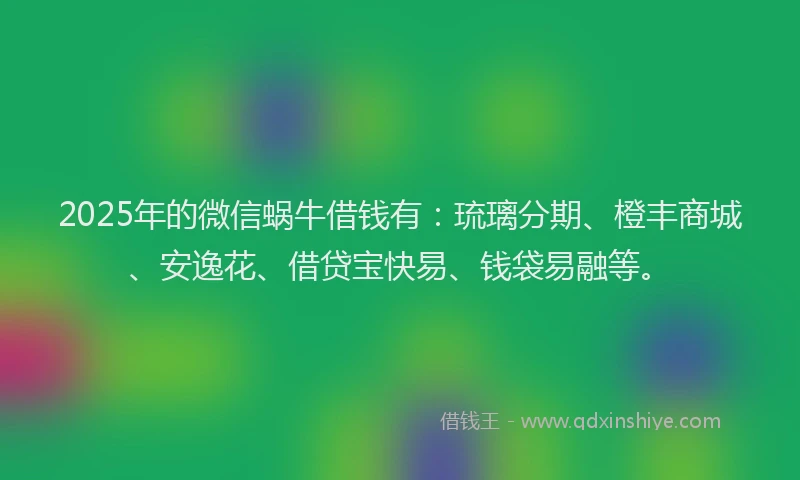 2025年的微信蜗牛借钱有：琉璃分期、橙丰商城、安逸花、借贷宝快易、钱袋易融等。
