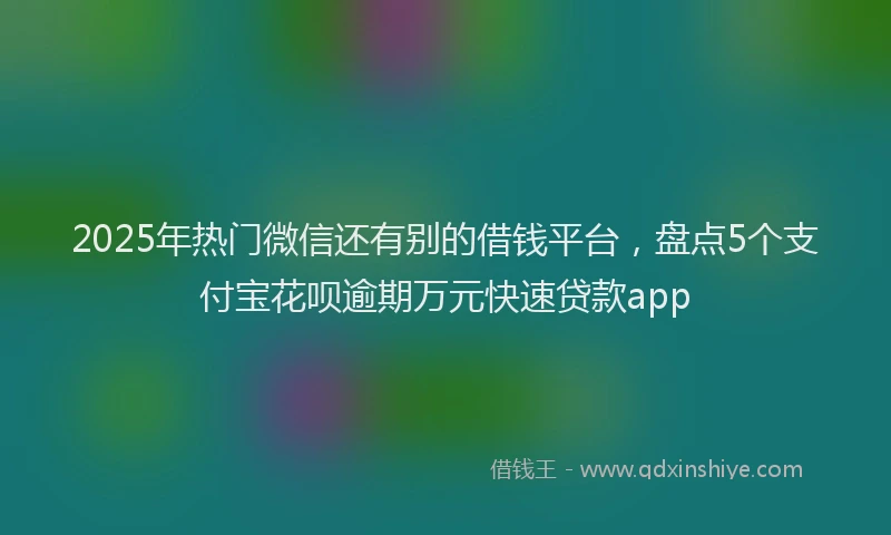 2025年热门微信还有别的借钱平台，盘点5个支付宝花呗逾期万元快速贷款app