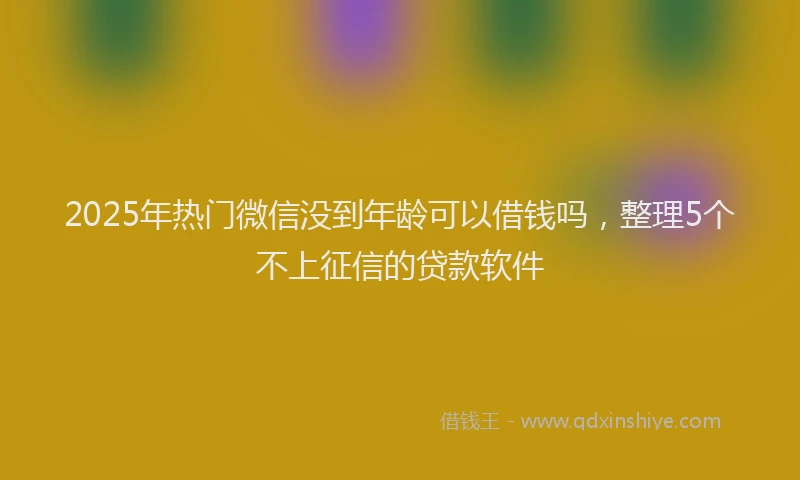 2025年热门微信没到年龄可以借钱吗，整理5个不上征信的贷款软件