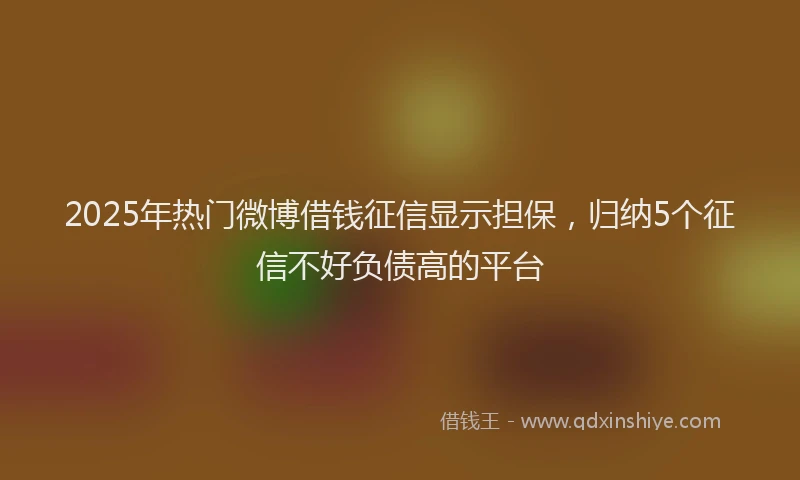 2025年热门微博借钱征信显示担保，归纳5个征信不好负债高的平台