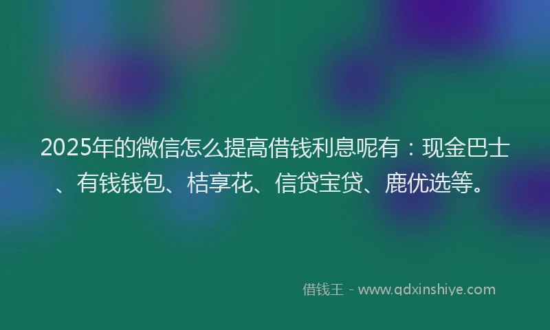 2025年的微信怎么提高借钱利息呢有：现金巴士、有钱钱包、桔享花、信贷宝贷、鹿优选等。