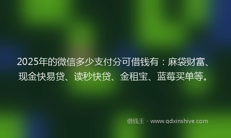 2025年的微信多少支付分可借钱有：麻袋财富、现金快易贷、读秒快贷、金租宝、蓝莓买单等。