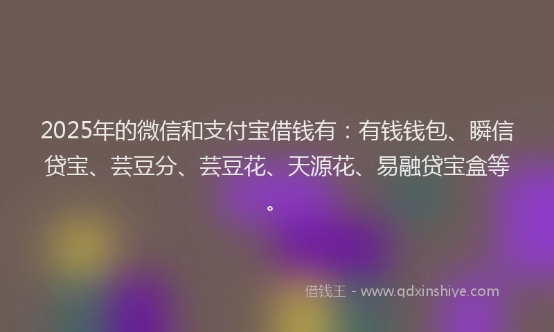 2025年的微信和支付宝借钱有：有钱钱包、瞬信贷宝、芸豆分、芸豆花、天源花、易融贷宝盒等。