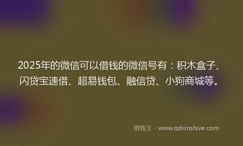 2025年的微信可以借钱的微信号有：积木盒子、闪贷宝速借、超易钱包、融信贷、小狗商城等。