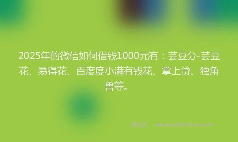 2025年的微信如何借钱1000元有：芸豆分-芸豆花、易得花、百度度小满有钱花、掌上贷、独角兽等。