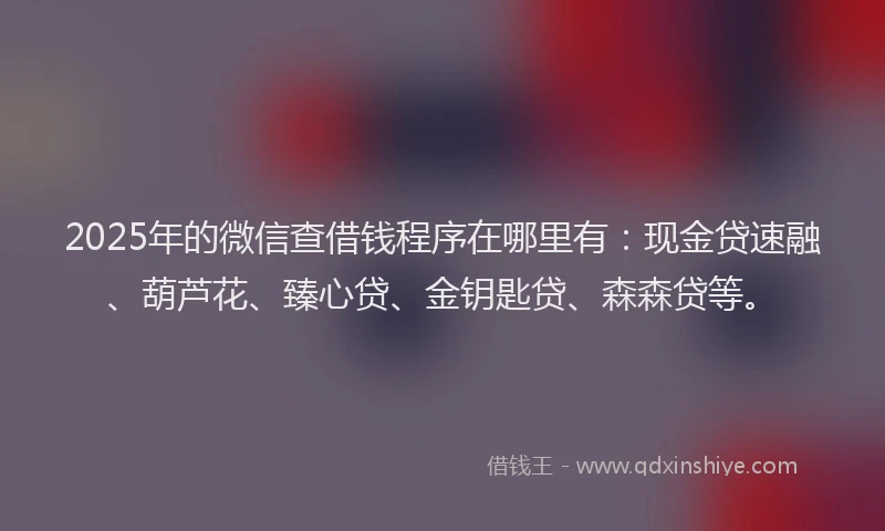 2025年的微信查借钱程序在哪里有：现金贷速融、葫芦花、臻心贷、金钥匙贷、森森贷等。