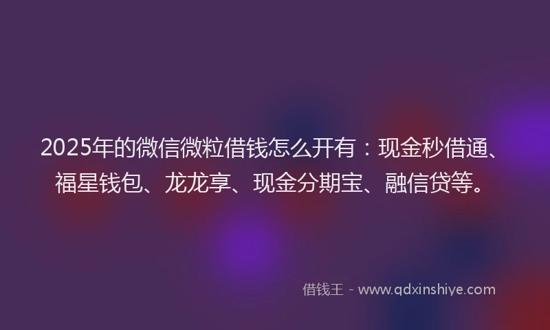 2025年的微信微粒借钱怎么开有：现金秒借通、福星钱包、龙龙享、现金分期宝、融信贷等。