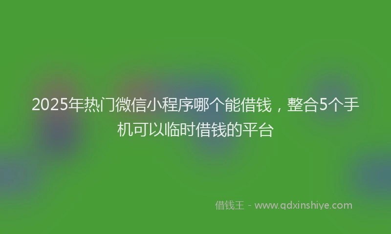 2025年热门微信小程序哪个能借钱，整合5个手机可以临时借钱的平台
