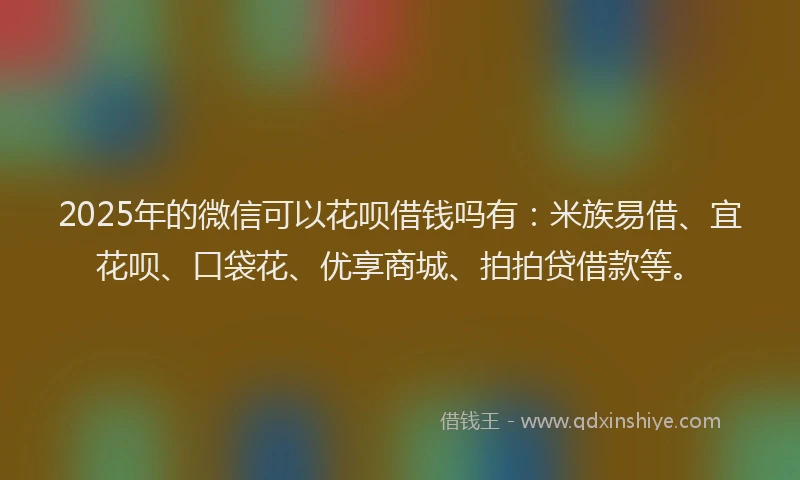 2025年的微信可以花呗借钱吗有：米族易借、宜花呗、口袋花、优享商城、拍拍贷借款等。