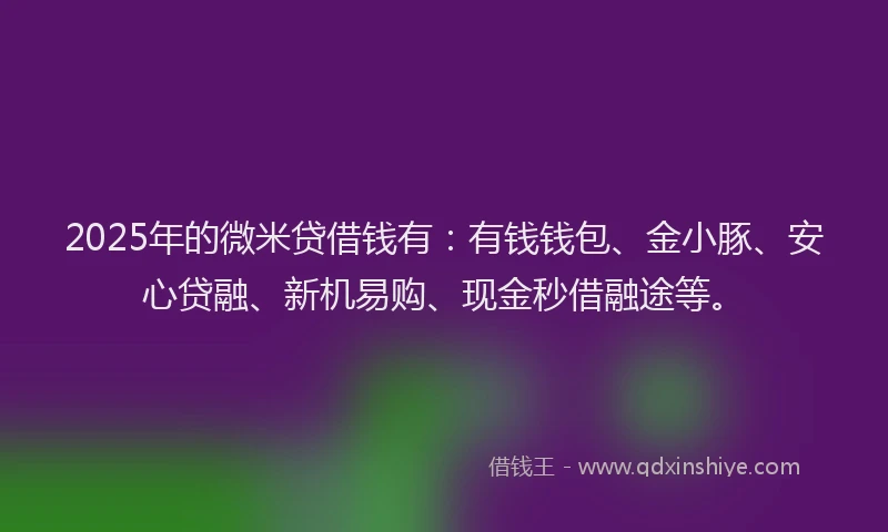 2025年的微米贷借钱有：有钱钱包、金小豚、安心贷融、新机易购、现金秒借融途等。