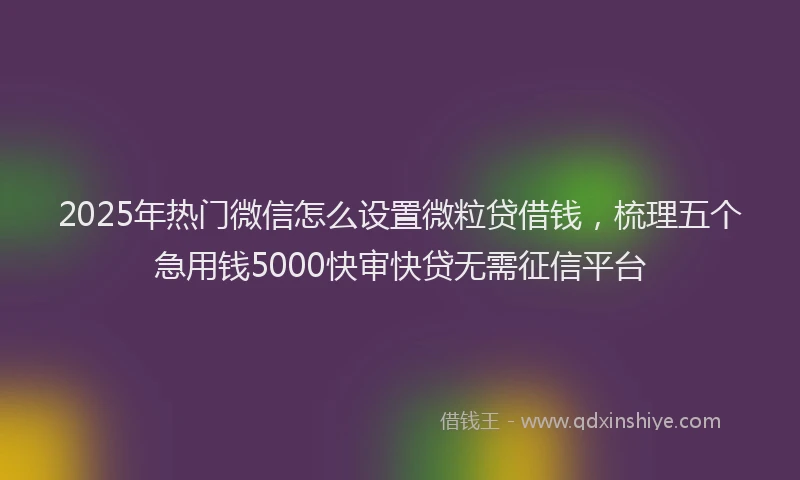 2025年热门微信怎么设置微粒贷借钱，梳理五个急用钱5000快审快贷无需征信平台