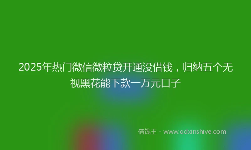 2025年热门微信微粒贷开通没借钱，归纳五个无视黑花能下款一万元口子
