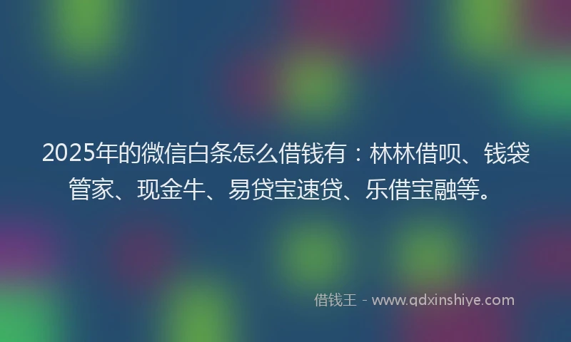 2025年的微信白条怎么借钱有:林林借呗、钱袋管家、现金牛、易贷宝速贷、乐借宝融等。