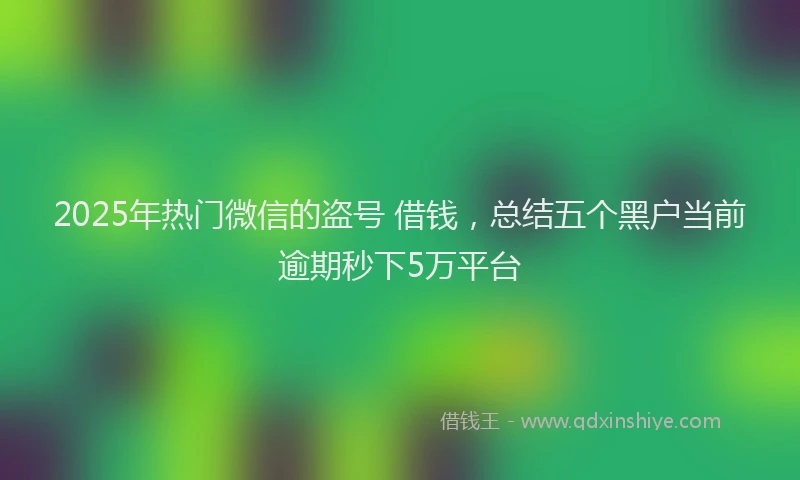 2025年热门微信的盗号 借钱，总结五个黑户当前逾期秒下5万平台