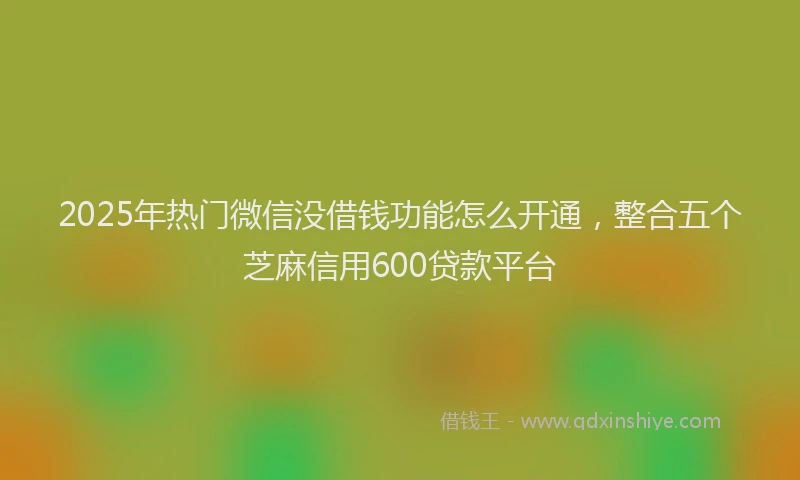 2025年热门微信没借钱功能怎么开通,整合五个芝麻信用600贷款平台