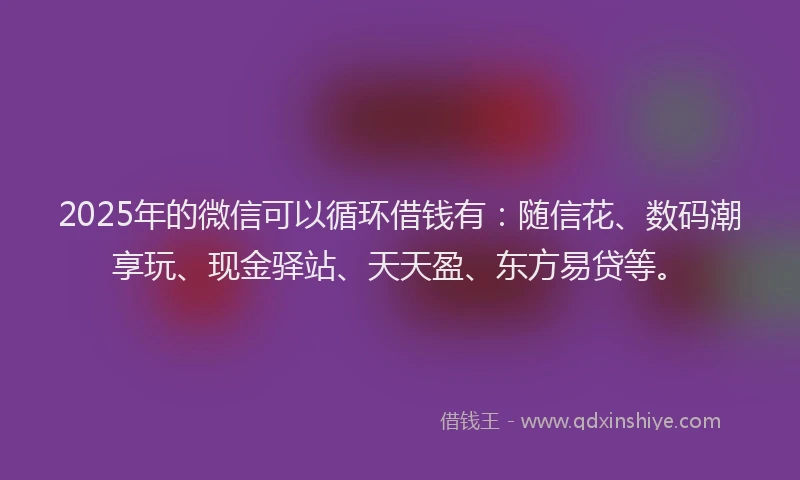 2025年的微信可以循环借钱有：随信花、数码潮享玩、现金驿站、天天盈、东方易贷等。