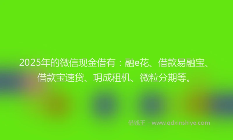 2025年的微信现金借有：融e花、借款易融宝、借款宝速贷、玥成租机、微粒分期等。