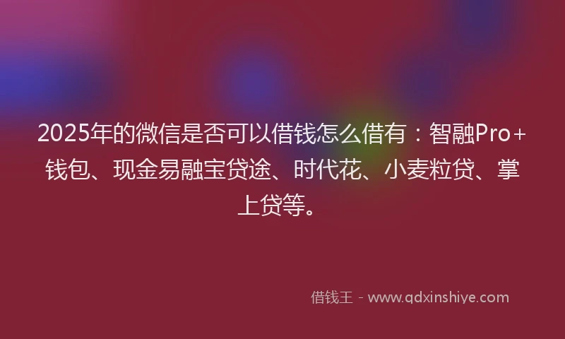2025年的微信是否可以借钱怎么借有：智融Pro+钱包、现金易融宝贷途、时代花、小麦粒贷、掌上贷等。
