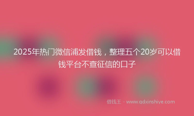 2025年热门微信浦发借钱，整理五个20岁可以借钱平台不查征信的口子