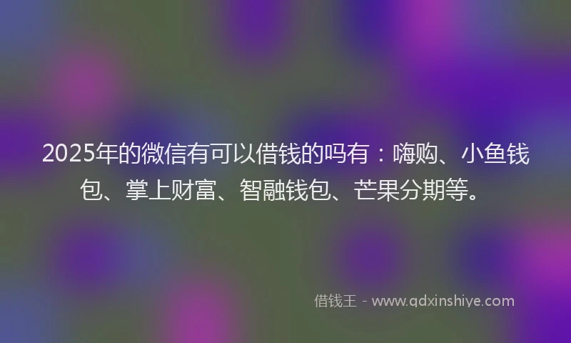2025年的微信有可以借钱的吗有：嗨购、小鱼钱包、掌上财富、智融钱包、芒果分期等。