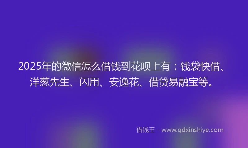 2025年的微信怎么借钱到花呗上有：钱袋快借、洋葱先生、闪用、安逸花、借贷易融宝等。