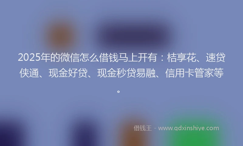 2025年的微信怎么借钱马上开有：桔享花、速贷侠通、现金好贷、现金秒贷易融、信用卡管家等。