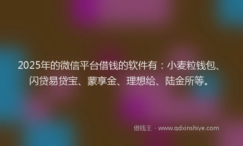 2025年的微信平台借钱的软件有：小麦粒钱包、闪贷易贷宝、蒙享金、理想给、陆金所等。