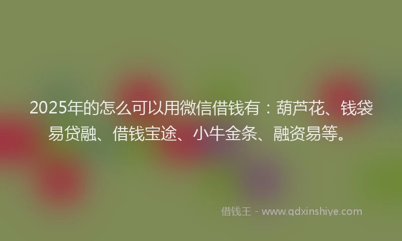 2025年的怎么可以用微信借钱有：葫芦花、钱袋易贷融、借钱宝途、小牛金条、融资易等。