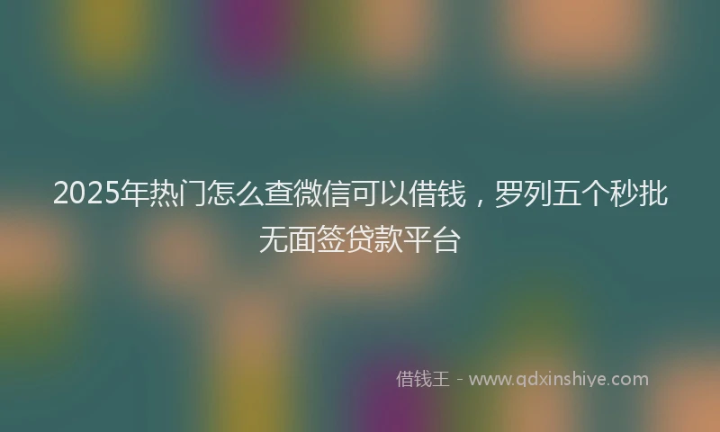 2025年热门怎么查微信可以借钱，罗列五个秒批无面签贷款平台