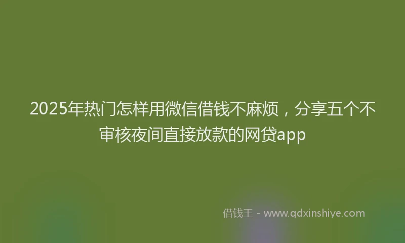 2025年热门怎样用微信借钱不麻烦，分享五个不审核夜间直接放款的网贷app