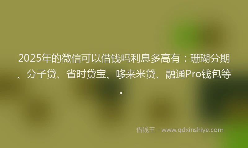 2025年的微信可以借钱吗利息多高有：珊瑚分期、分子贷、省时贷宝、哆来米贷、融通Pro钱包等。