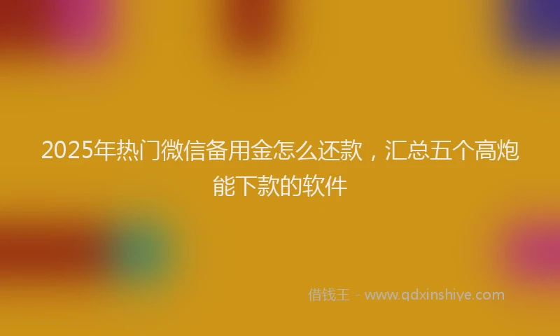 2025年热门微信备用金怎么还款，汇总五个高炮能下款的软件