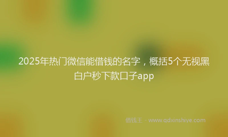 2025年热门微信能借钱的名字，概括5个无视黑白户秒下款口子app