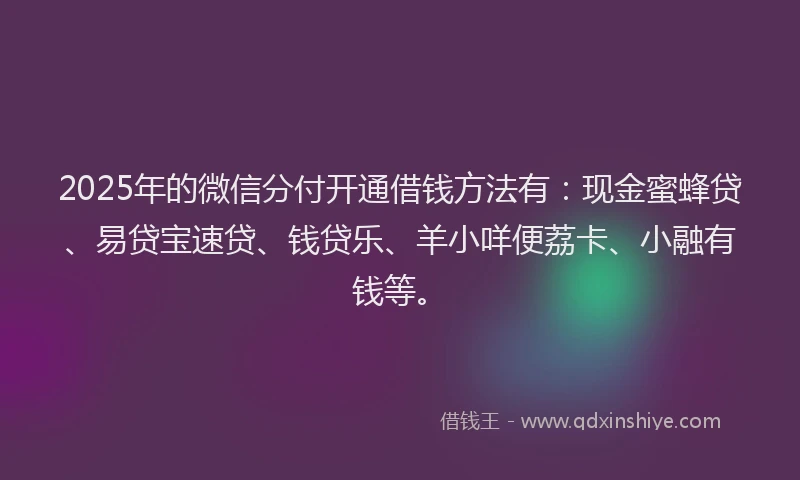 2025年的微信分付开通借钱方法有：现金蜜蜂贷、易贷宝速贷、钱贷乐、羊小咩便荔卡、小融有钱等。