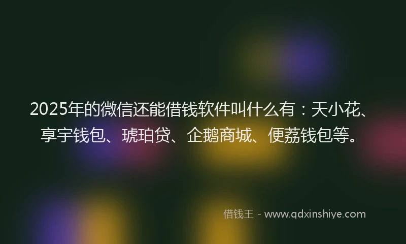 2025年的微信还能借钱软件叫什么有：天小花、享宇钱包、琥珀贷、企鹅商城、便荔钱包等。