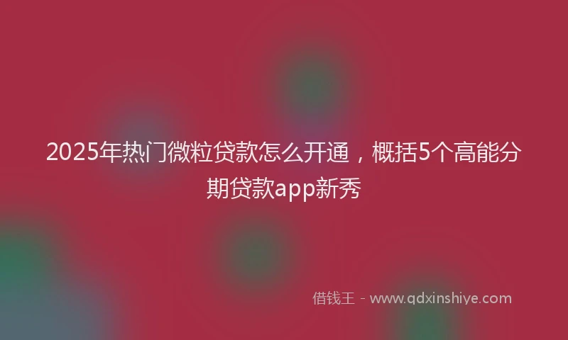 2025年热门微粒贷款怎么开通，概括5个高能分期贷款app新秀
