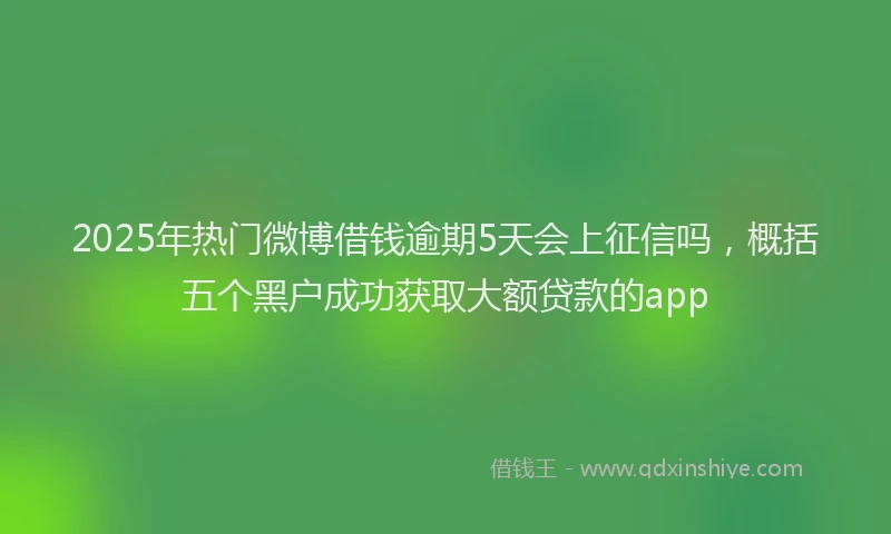 2025年热门微博借钱逾期5天会上征信吗，概括五个黑户成功获取大额贷款的app