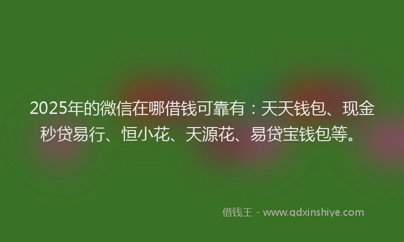 2025年的微信在哪借钱可靠有：天天钱包、现金秒贷易行、恒小花、天源花、易贷宝钱包等。