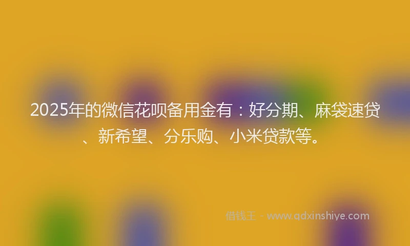 2025年的微信花呗备用金有：好分期、麻袋速贷、新希望、分乐购、小米贷款等。