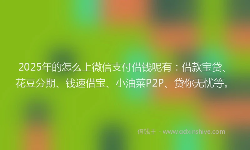 2025年的怎么上微信支付借钱呢有：借款宝贷、花豆分期、钱速借宝、小油菜P2P、贷你无忧等。
