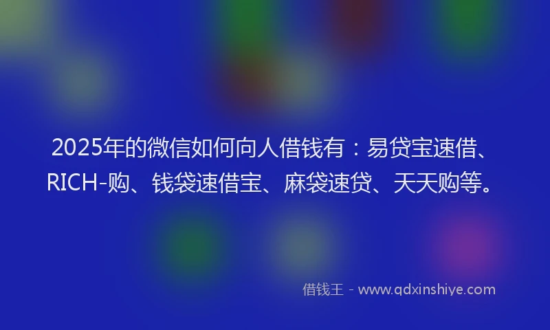 2025年的微信如何向人借钱有：易贷宝速借、RICH-购、钱袋速借宝、麻袋速贷、天天购等。