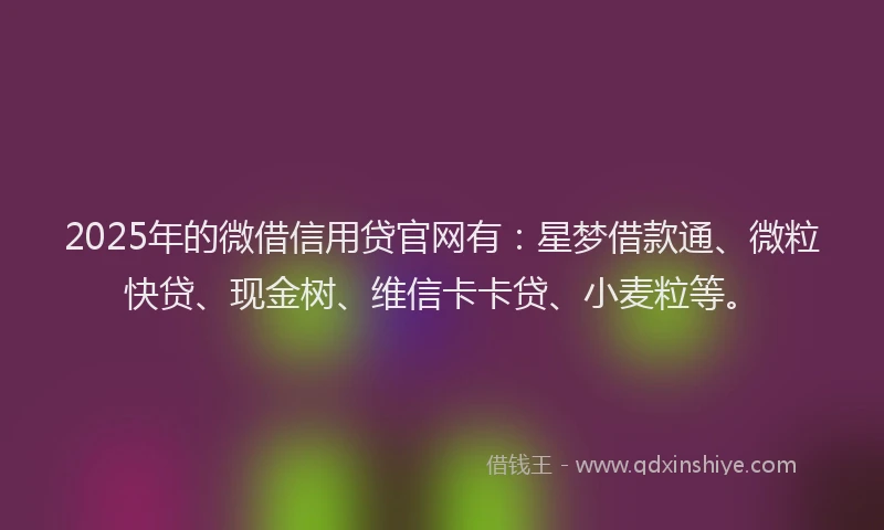 2025年的微借信用贷官网有：星梦借款通、微粒快贷、现金树、维信卡卡贷、小麦粒等。