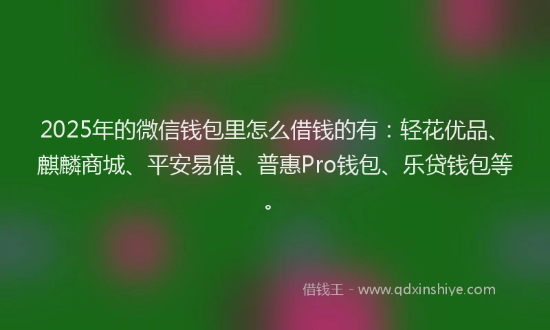 2025年的微信钱包里怎么借钱的有：轻花优品、麒麟商城、平安易借、普惠Pro钱包、乐贷钱包等。