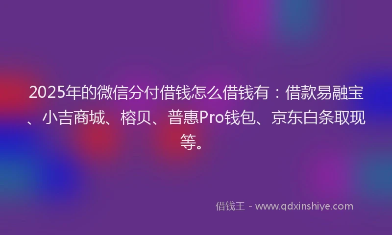2025年的微信分付借钱怎么借钱有：借款易融宝、小吉商城、榕贝、普惠Pro钱包、京东白条取现等。