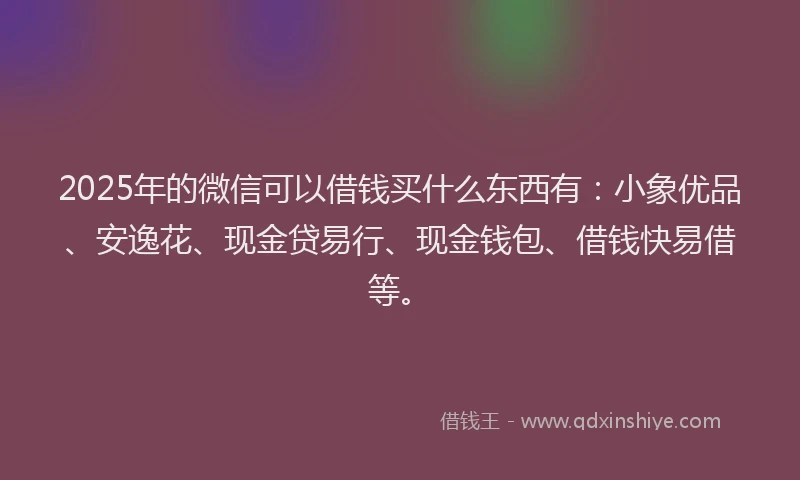 2025年的微信可以借钱买什么东西有：小象优品、安逸花、现金贷易行、现金钱包、借钱快易借等。