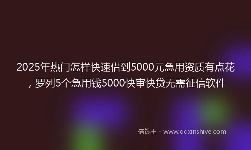 2025年热门怎样快速借到5000元急用资质有点花，罗列5个急用钱5000快审快贷无需征信软件