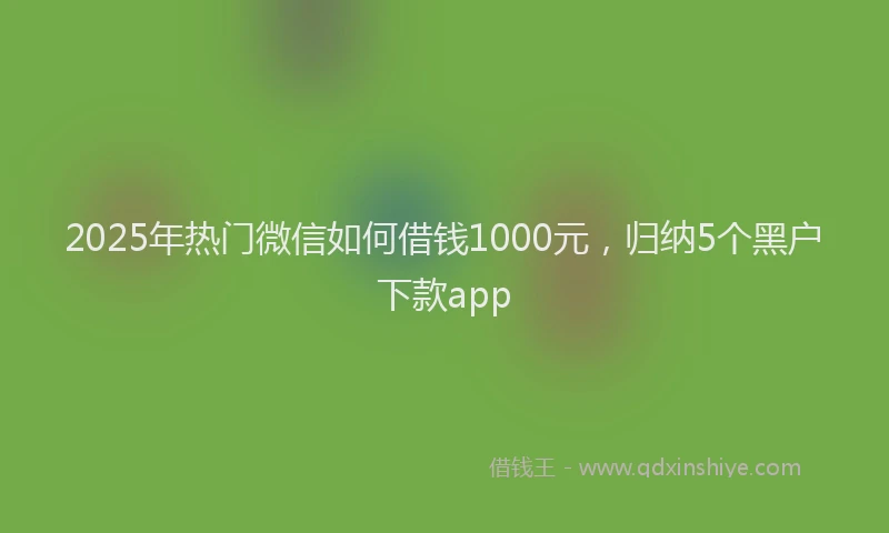2025年热门微信如何借钱1000元，归纳5个黑户下款app